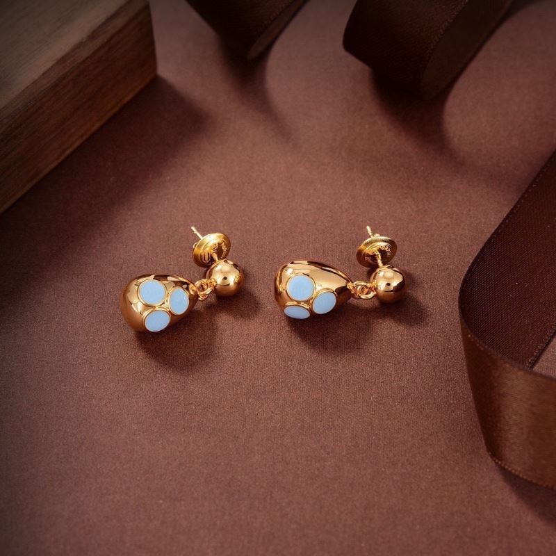 Bottega Veneta Earrings